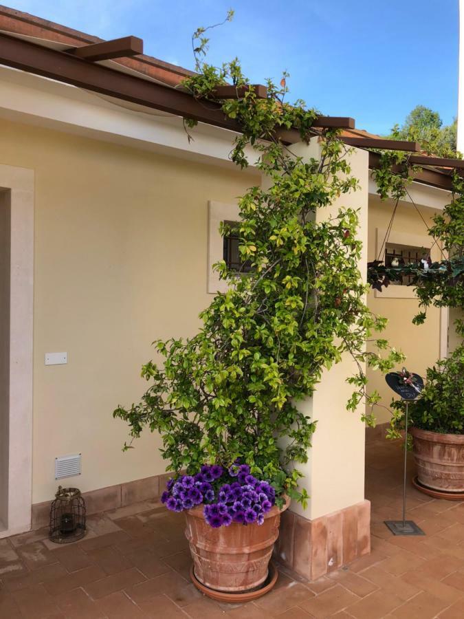 Maso Maroni Agriturismo Куинто-ди-Вальпантена Экстерьер фото