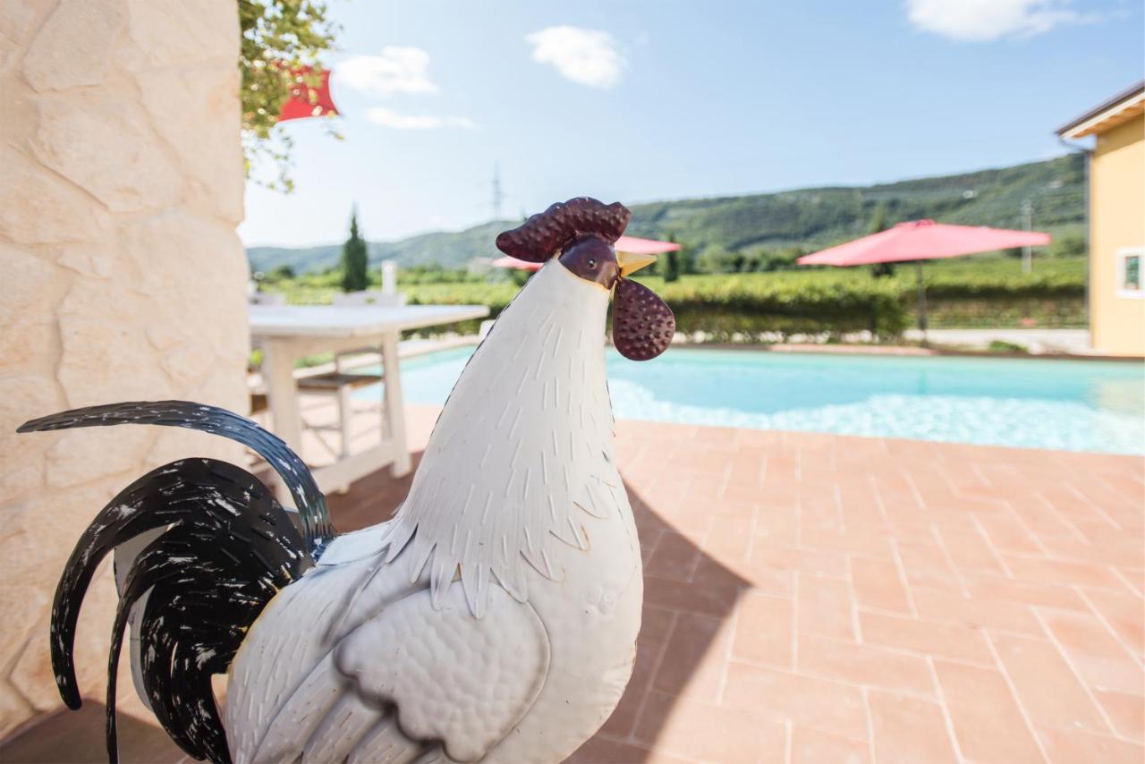 Maso Maroni Agriturismo Куинто-ди-Вальпантена Экстерьер фото