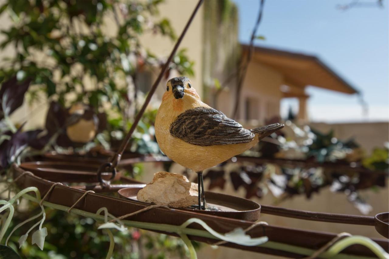 Maso Maroni Agriturismo Куинто-ди-Вальпантена Экстерьер фото