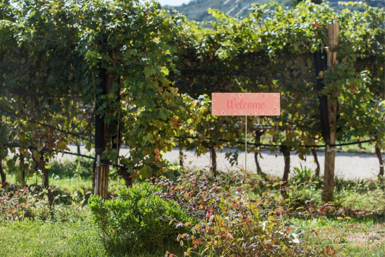 Maso Maroni Agriturismo Куинто-ди-Вальпантена Экстерьер фото